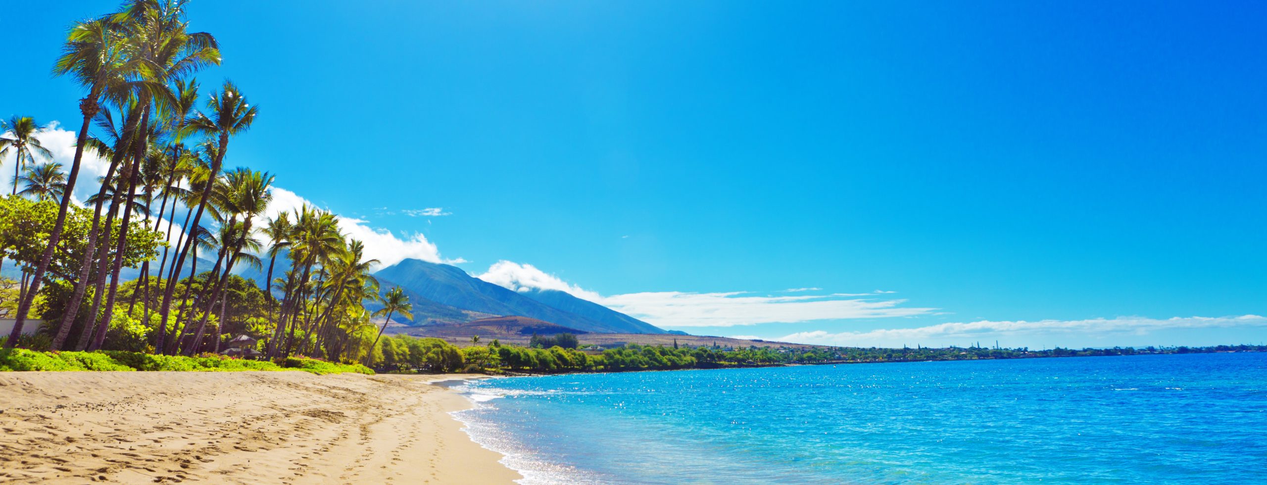 Maui west coast beaches