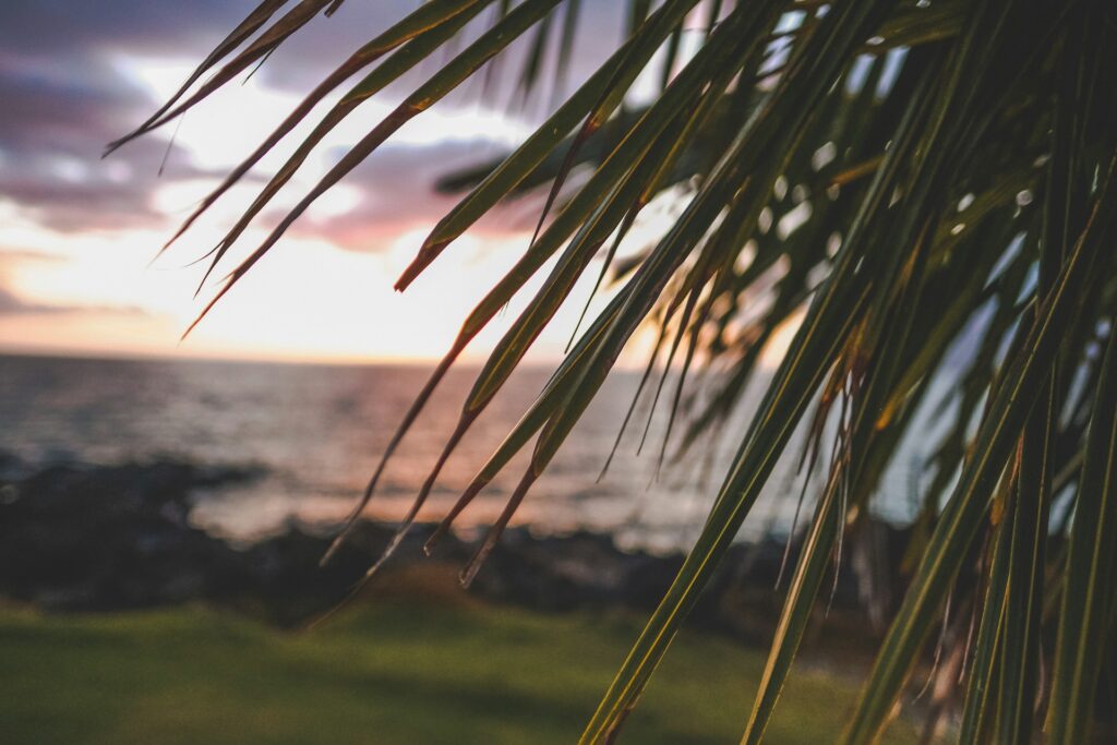 A Kihei beach view