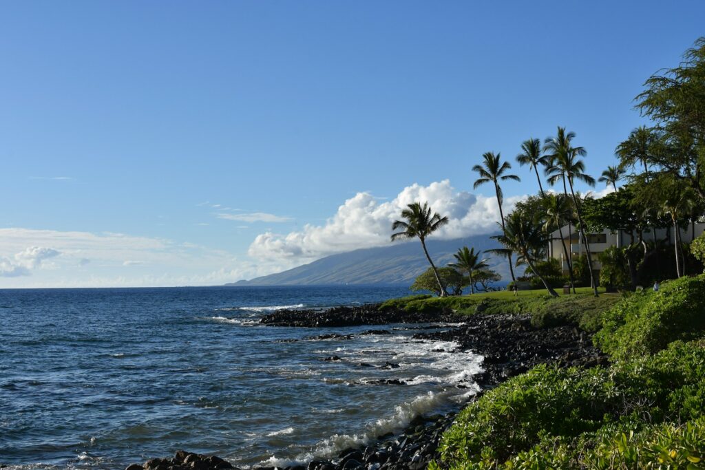 visit Maui